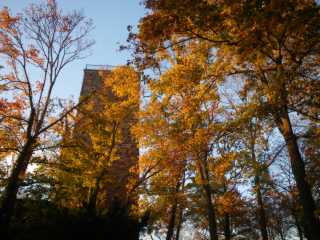 IMGP0403.JPG