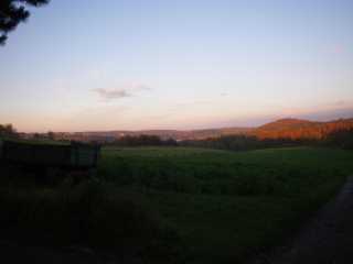 IMGP0407.JPG