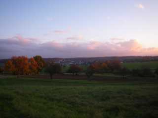 IMGP0409.JPG