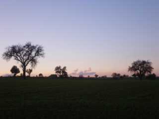 IMGP0411.JPG