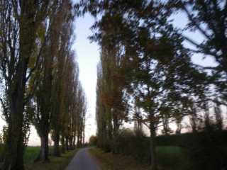 IMGP0413.JPG