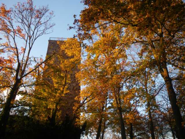 IMGP0403.JPG
