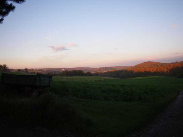 IMGP0407.JPG