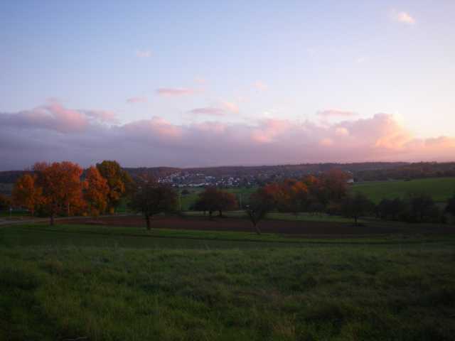 IMGP0409.JPG