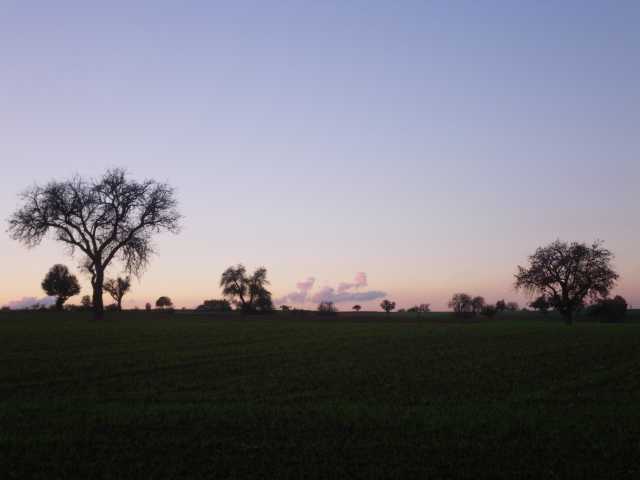 IMGP0411.JPG