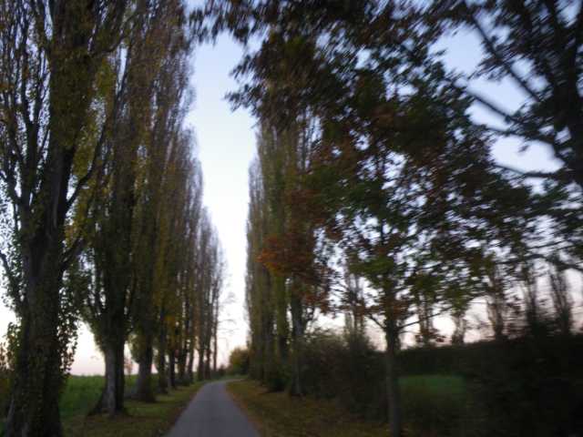 IMGP0413.JPG