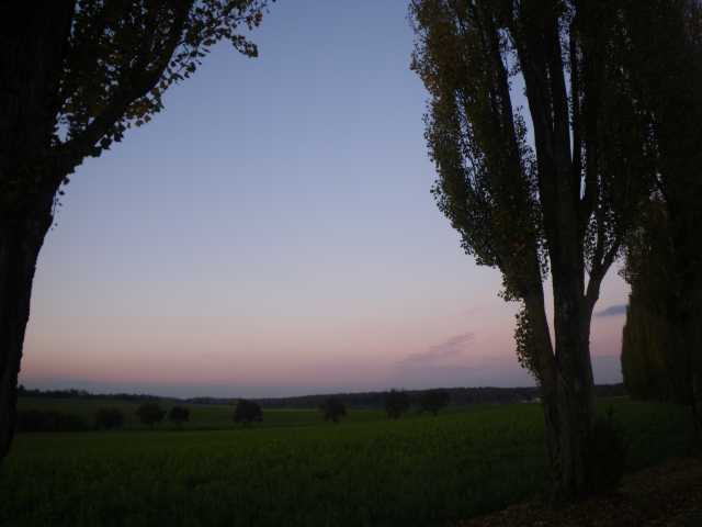 IMGP0415.JPG