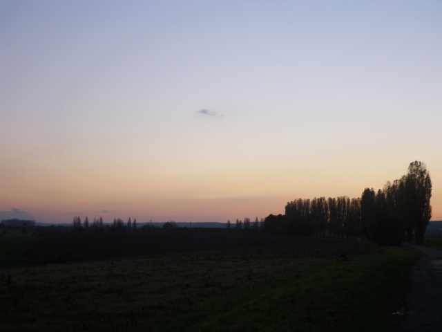 IMGP0418.JPG