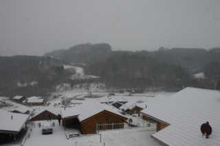 DSC06461.JPG