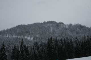 DSC06586.JPG