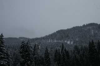 DSC06591.JPG