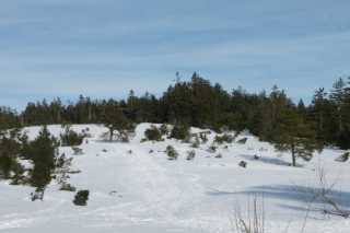 DSC06706.JPG