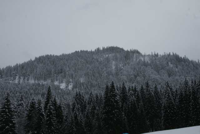 DSC06586.JPG