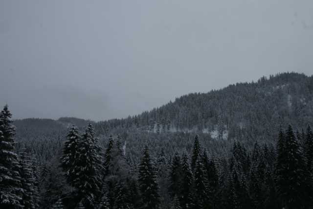 DSC06591.JPG