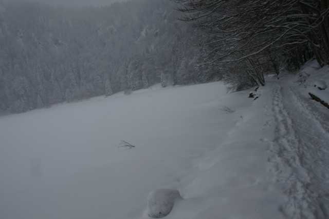 DSC06593.JPG