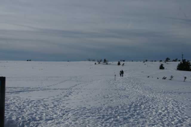 DSC06740.JPG