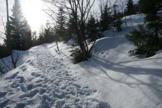 DSC06717.JPG