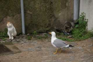 DSC07033.JPG