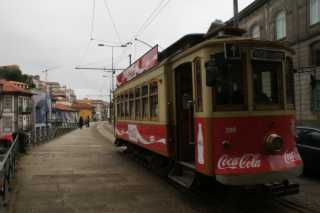 DSC07047.JPG