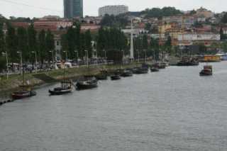 DSC07113.JPG