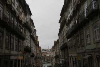 DSC07339.JPG