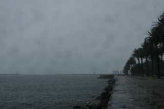 DSC07361.JPG