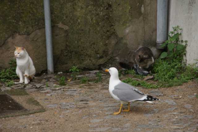 DSC07033.JPG