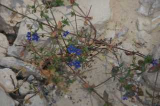 DSC07560.JPG
