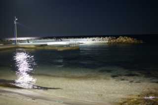 DSC07727.JPG