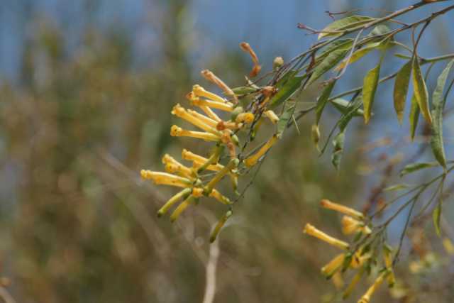 DSC07582.JPG
