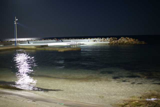 DSC07727.JPG