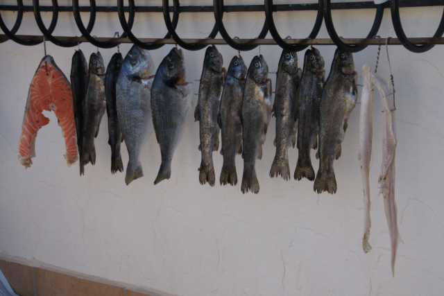 DSC07805.JPG