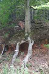 DSC08029.JPG