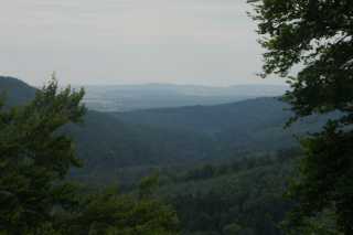 DSC08049.JPG