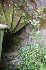DSC08056.JPG