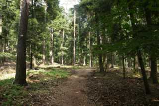 DSC08074.JPG