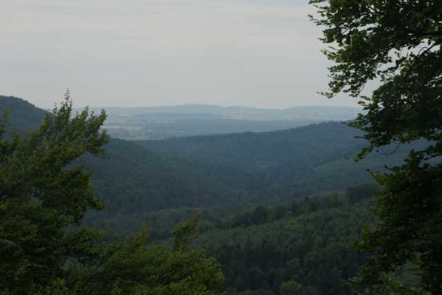 DSC08049.JPG