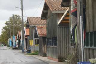 DSC08506.JPG
