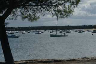 DSC08524.JPG