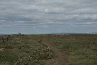 DSC08603.JPG