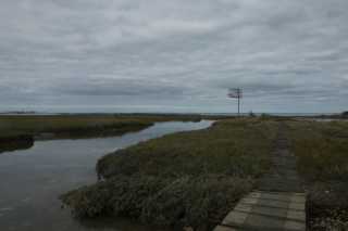 DSC08616.JPG
