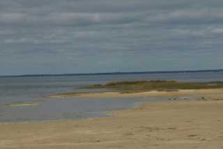 DSC08624.JPG