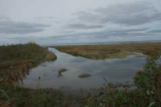 DSC08649.JPG