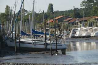 DSC08783.JPG