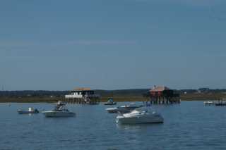 DSC08870.JPG