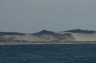 DSC09147.JPG