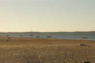 DSC09348.JPG