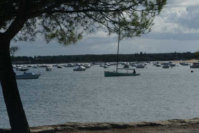 DSC08524.JPG