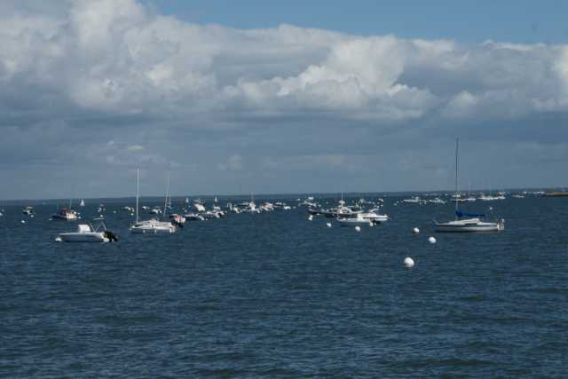 DSC08545.JPG