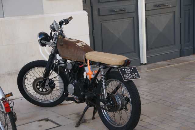 DSC08554.JPG